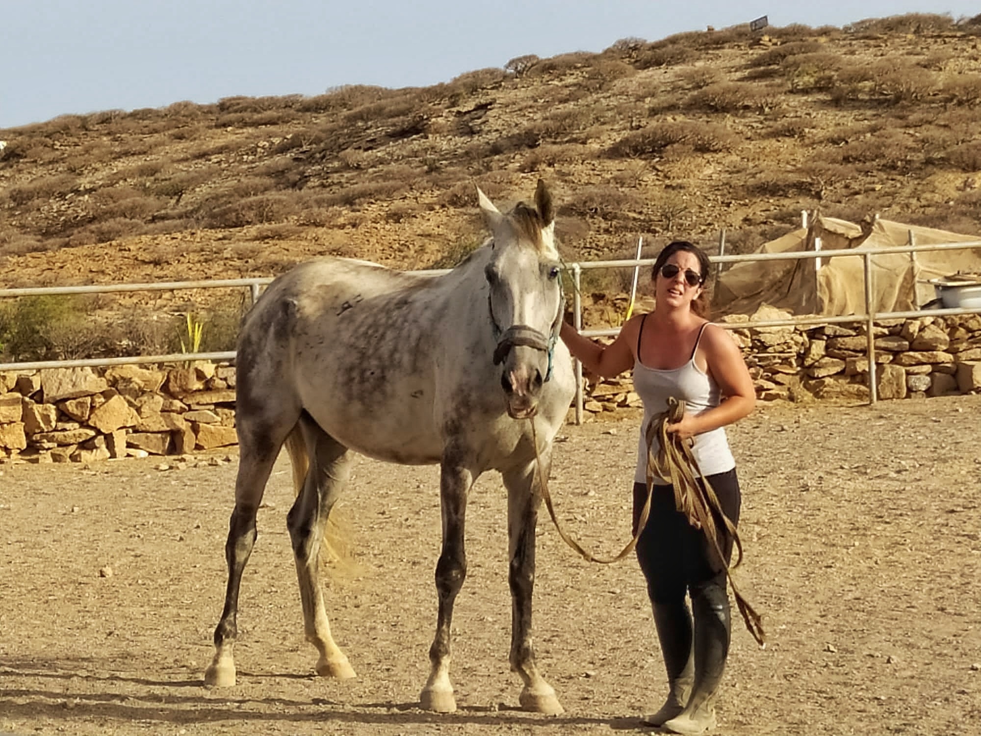 the-rescue-horse-healing-from-inside-out-tenerife-horse-rescue