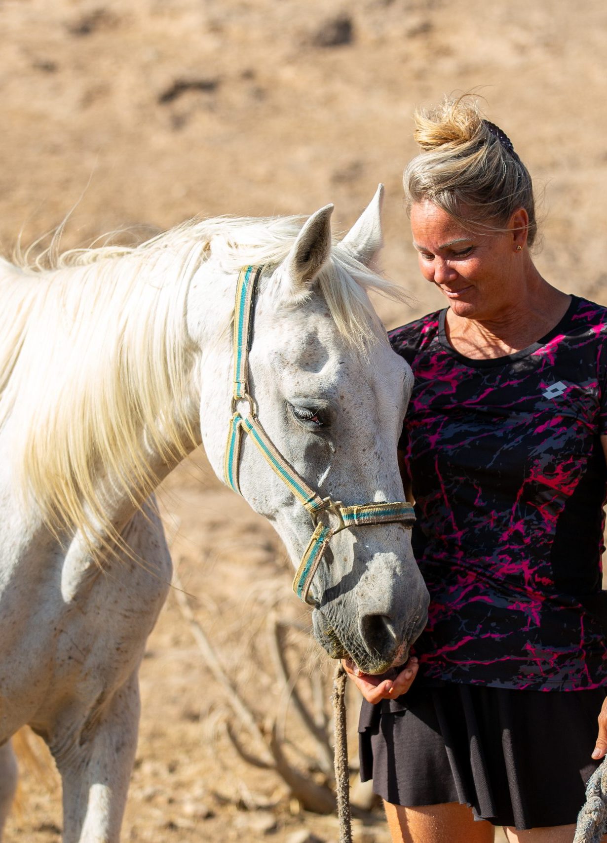Palomino