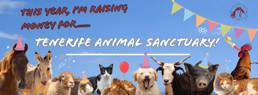 Birthday Fundraiser Banners (1) (1)